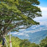 伊勢原市の大山