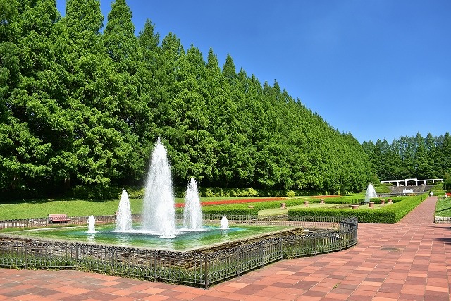 県立相模原公園